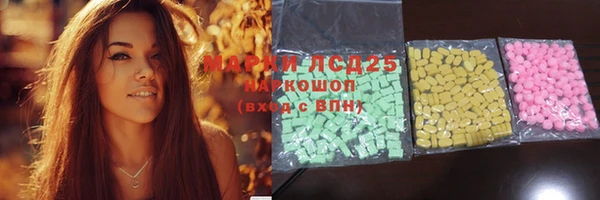 стаф Алексин