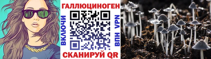 как найти закладки  Ядрин  Галлюциногенные грибы ЛСД 