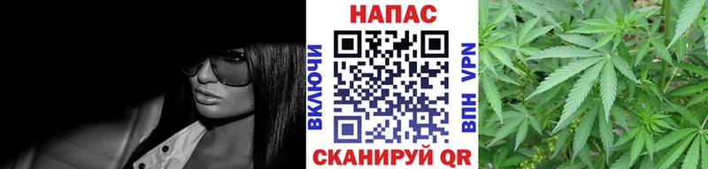 Конопля Ganja  купить наркоту  Ядрин 